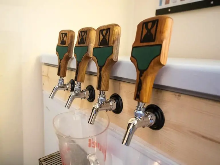 Kegerator vs. Keezer Which One Should You Buy? (Pros and Cons) Brew