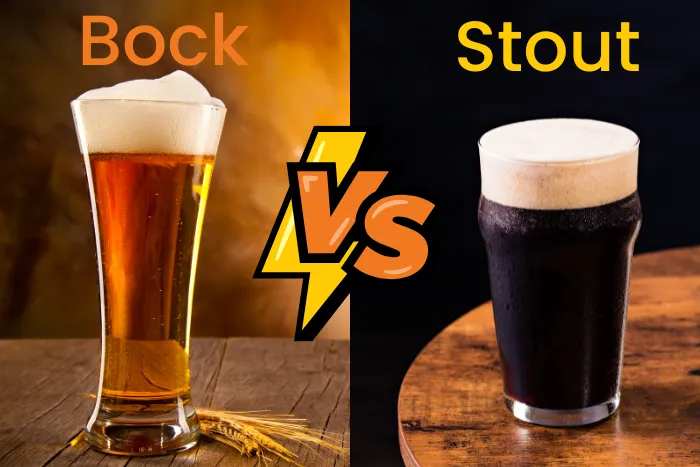 bock vs stout