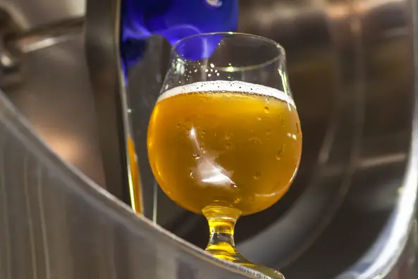 Brewing Process of Pale Ale vs Ale