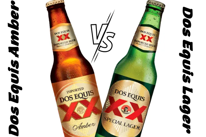 DOS EQUIS Large vs Amber
