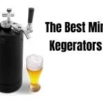 Best Mini Kegerators