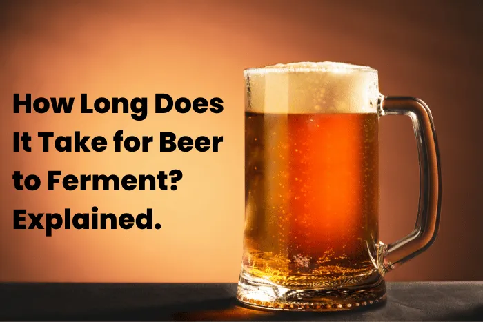 How Long Does It Take for Beer to Ferment? Explained.