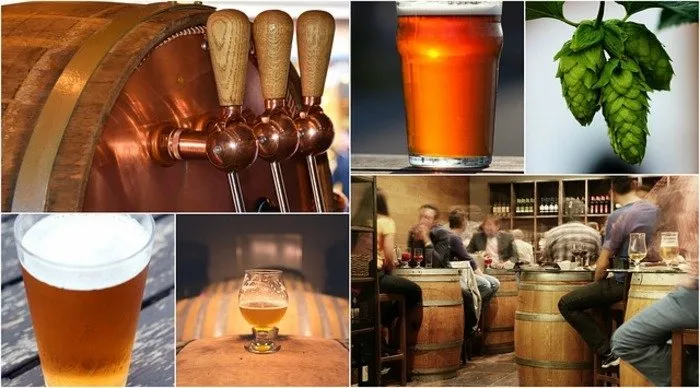 best breweries in jacksonville