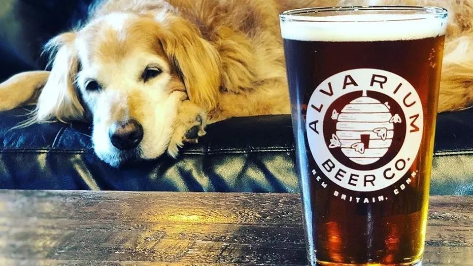 best breweries in hartford ct